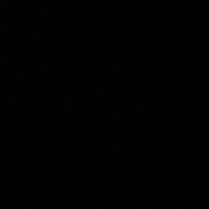 Meet your Posher, Jayla